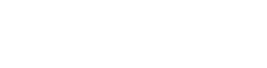 Bahrain Government Guidlines Design System Logo white