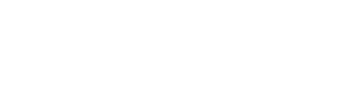 Bahrain Government Guidlines Design System Logo white