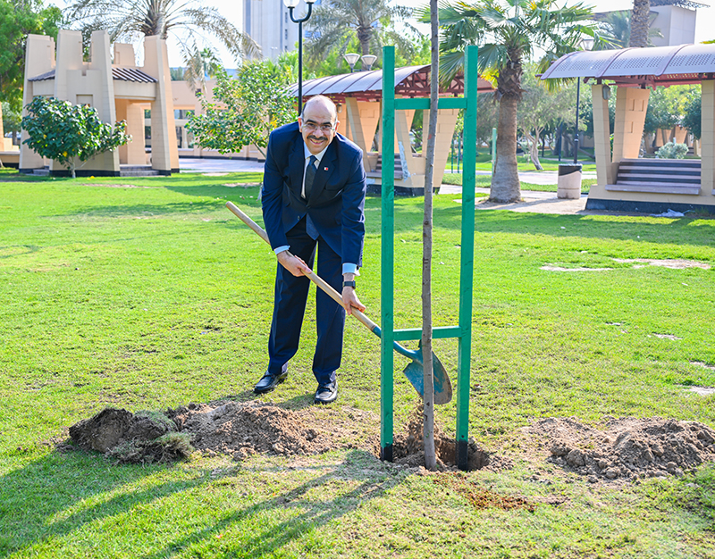 زراعة أشجار ضمن أسبوع الشجرة